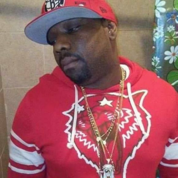 Meet your Posher, Fox - Picture 1 of 1